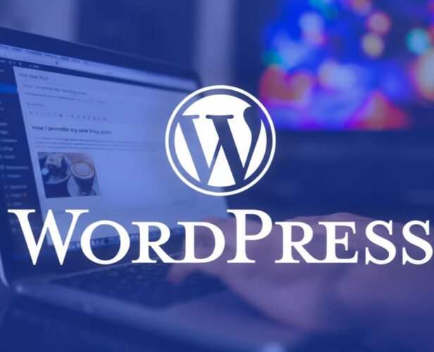 WordPress Operations Tutorial Course